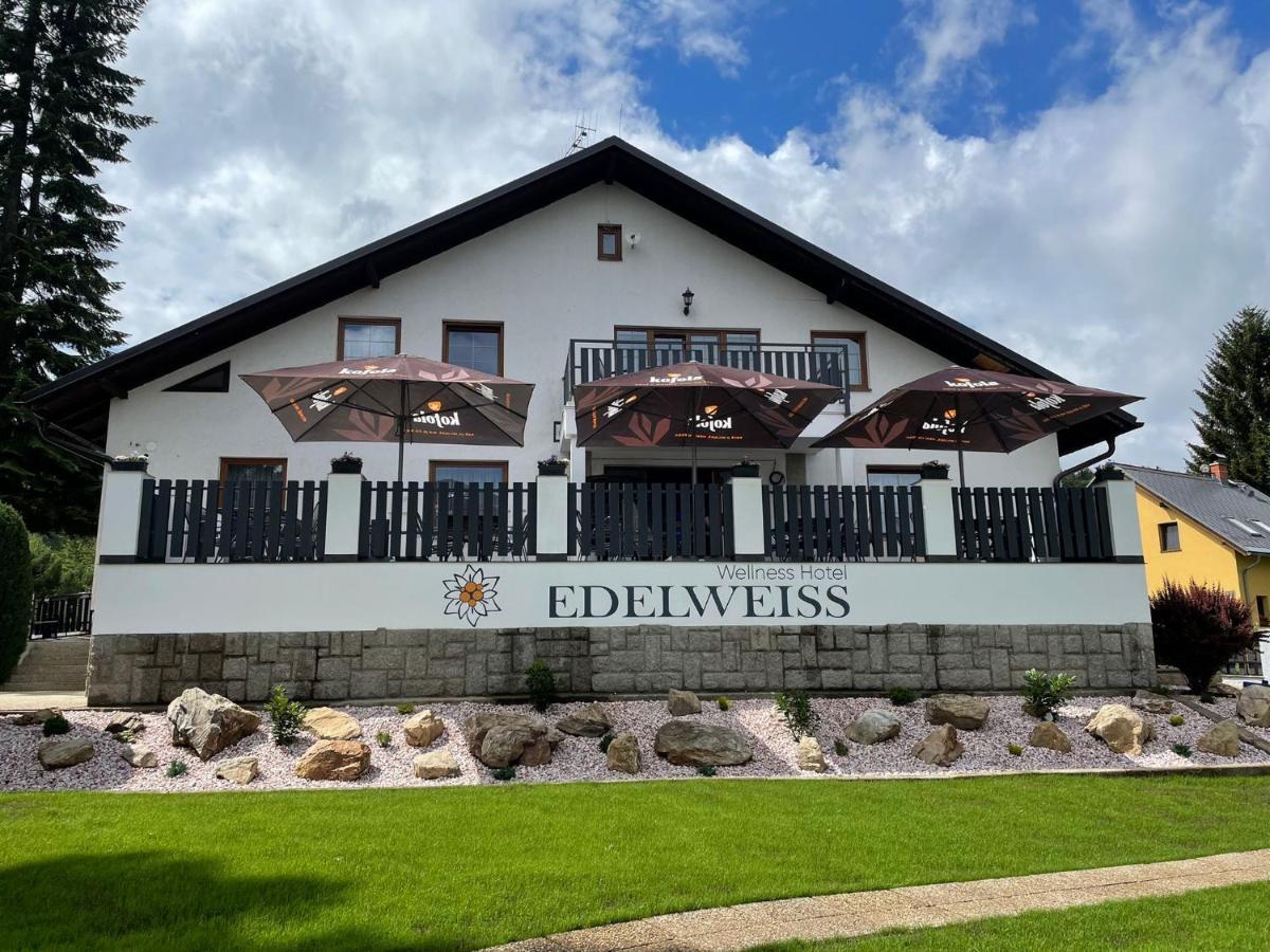 Wellness Hotel Edelweiss Liberec Eksteriør bilde